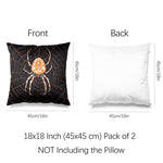 Art Animal Throw Pillow Covers Pack of 2 18x18 Inch (Spider in A Web by Julie de Graag) - Berkin Arts